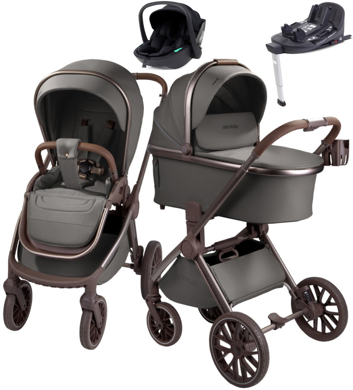 Детская коляска AmaroBaby Motus Premium Ecco Exclusive 4 в 1 с автокреслом Rant Miro Black и базой серый