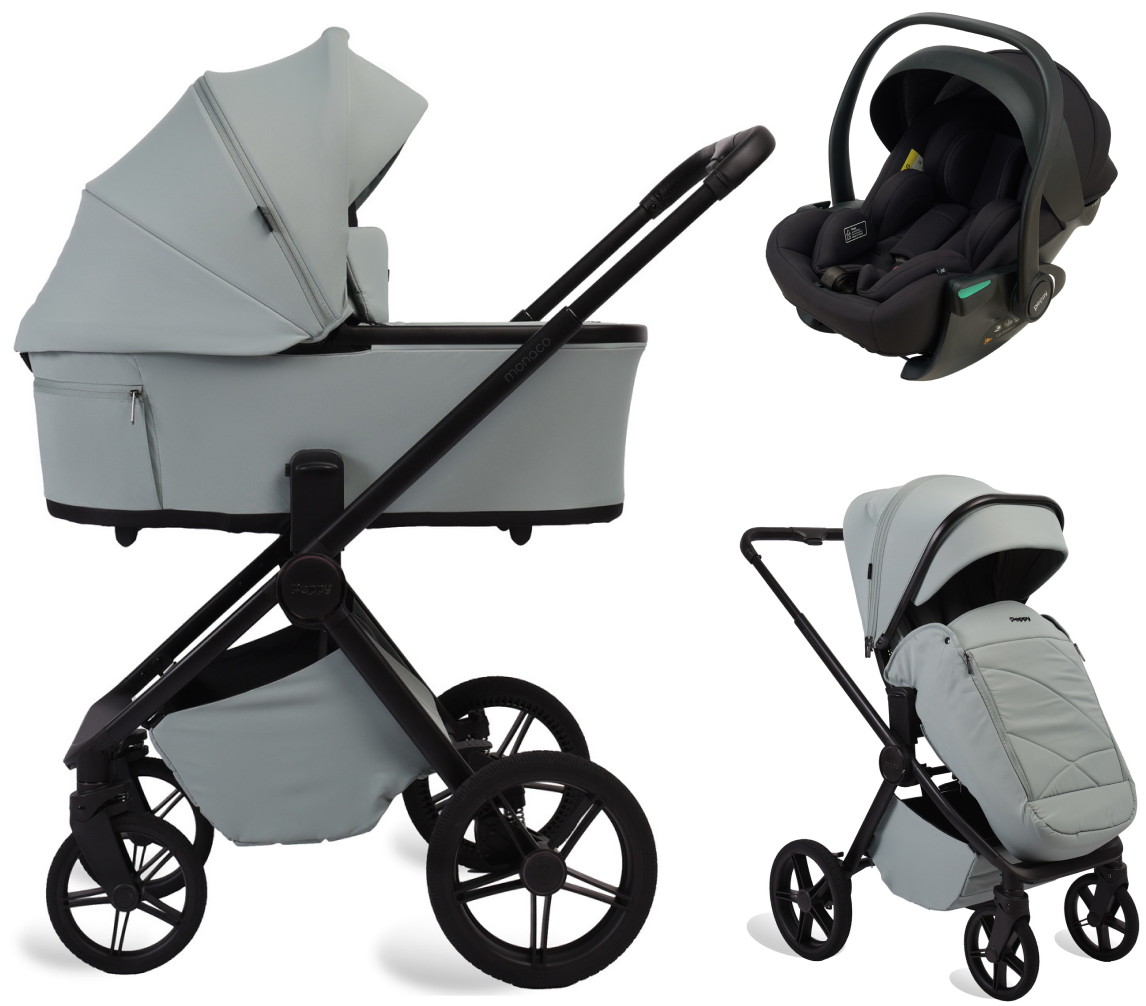 Детская коляска Peppy Monaco Plus 3 в 1 с автокреслом Jet Black Mint (мятный), рама черная