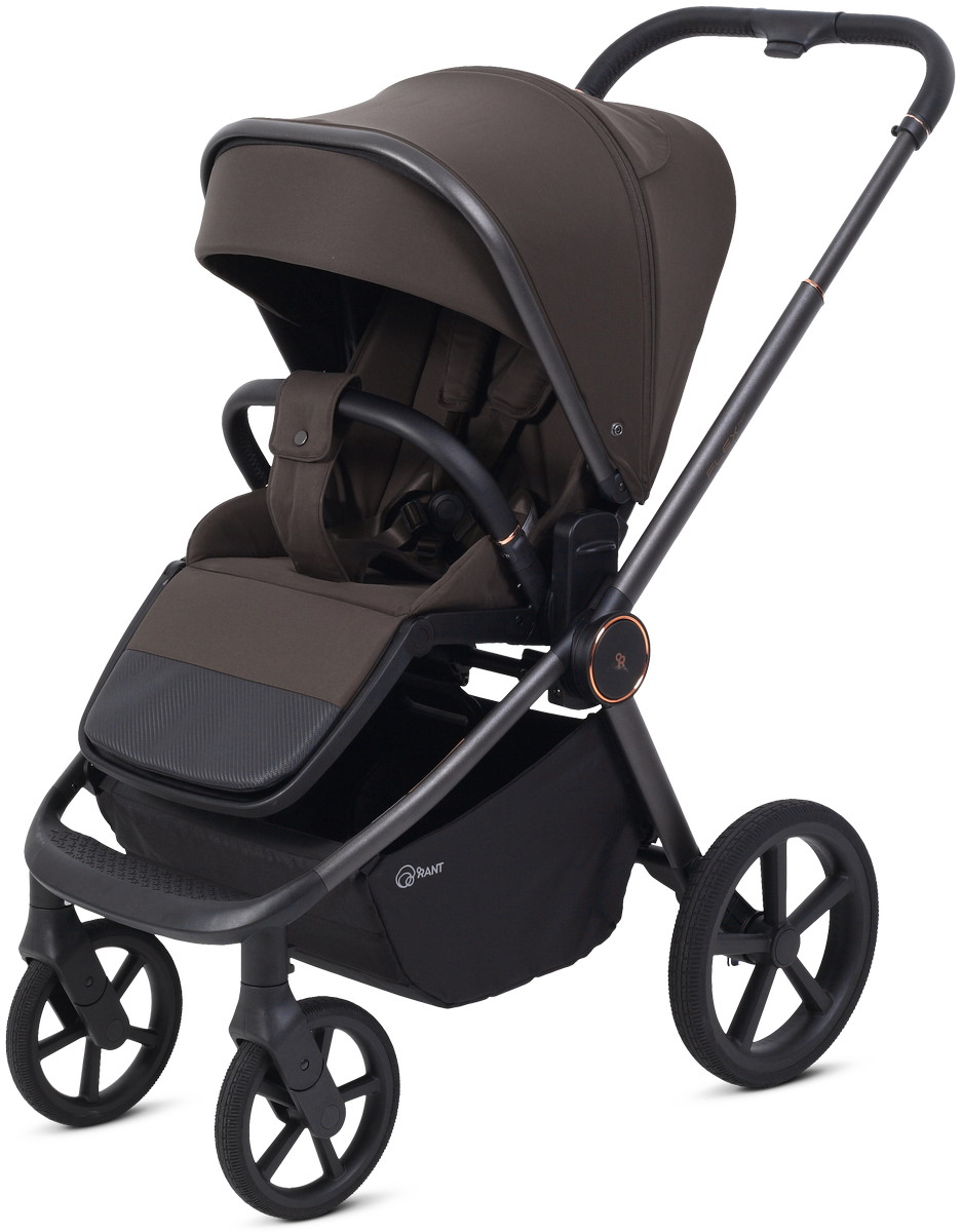 Детская прогулочная коляска Rant Flex Color RA118 Shine Brown
