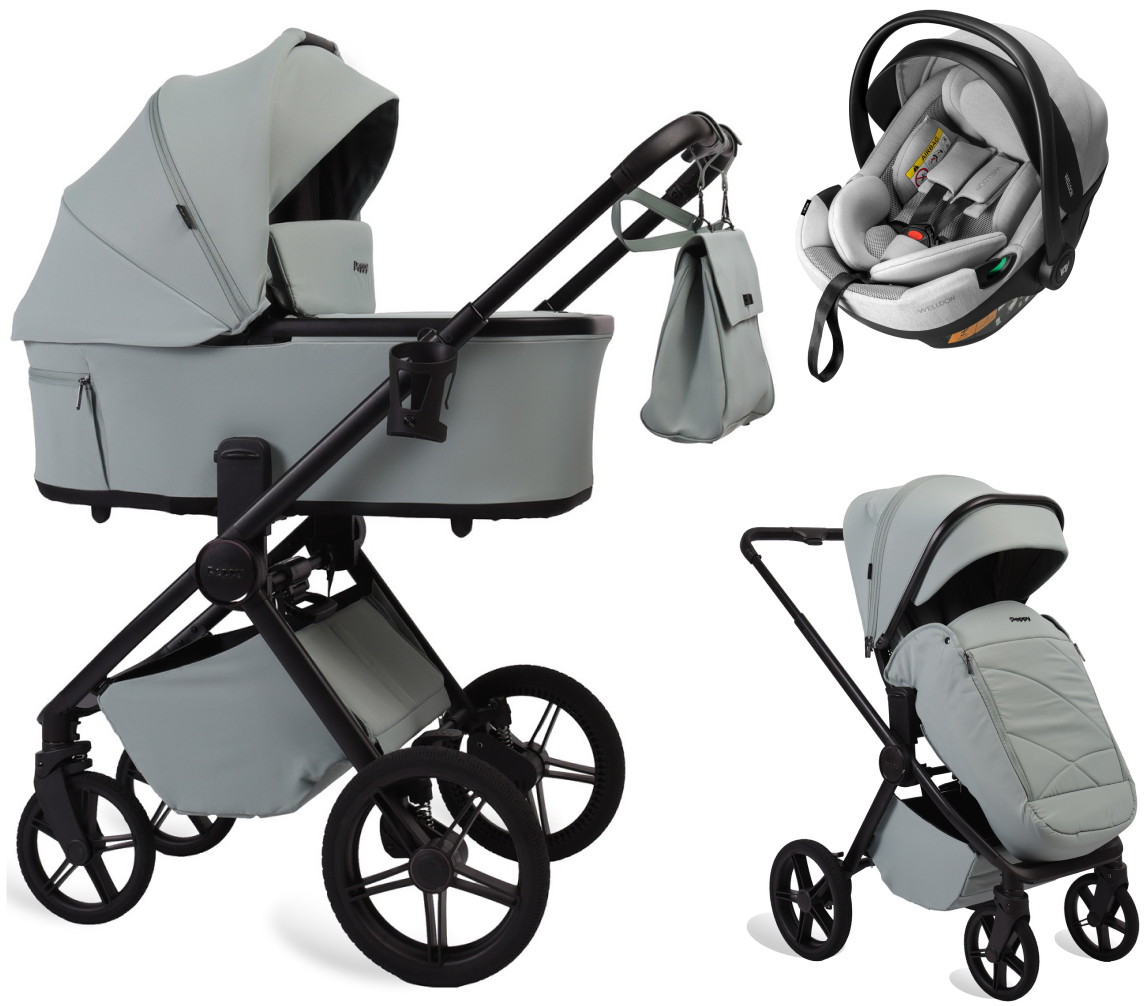 Детская коляска Peppy Monaco Plus 3 в 1 с автокреслом Welldon Crown 2 Grey Mint (мятный), рама черная