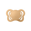 1310293 Desert Sand