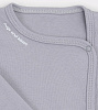 Arctic Grey