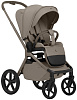 427732 Beige Neo