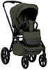 427718 Dark Green