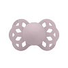 441267 Dusky Lilac