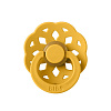 210269 Honey Bee
