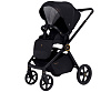 427306 Black