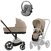 Cozy Beige