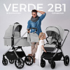 427451 Grey