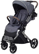 Детская прогулочная коляска Rant basic Vortex RA304 Titan