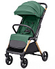 Parrot Green