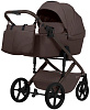 427773 Chocolate Brown