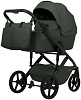 427774 Forest Green