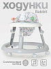 6211 Bunny