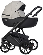 Детская коляска Riko Basic Montana X Ecco 2 в 1 31 Light Silver-Black (св.серый-черный)