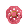 210262 Coral