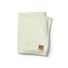 30326202201NA Gelato Green