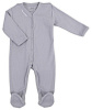 Arctic Grey