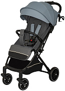 Детская прогулочная коляска Indigo Skip голубой