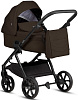1582203 Brown