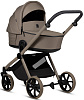 1622078 Taupe Deep
