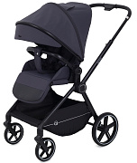 Детская прогулочная коляска Rant Moss Graphite