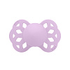 421291 Violet Sky