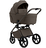 427784 Dark beige