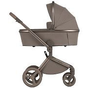 Детская коляска Anex Flo 2 в 1 Yuki