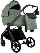 Детская коляска Pituso Teffy 2 в 1 Sage Green/Graphite