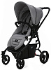 Flatt Matt/Cool Grey N0431