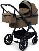 Детская коляска Rant Basic Terra 2 в 1 RA163 Brown