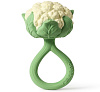 L-RATTLE-CAULIFLOWER