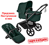 Black/Fern Green-Fern Green