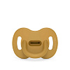 308095 MUSTARD