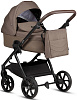 1582203 Brown