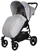 Flatt Matt / Cool Grey